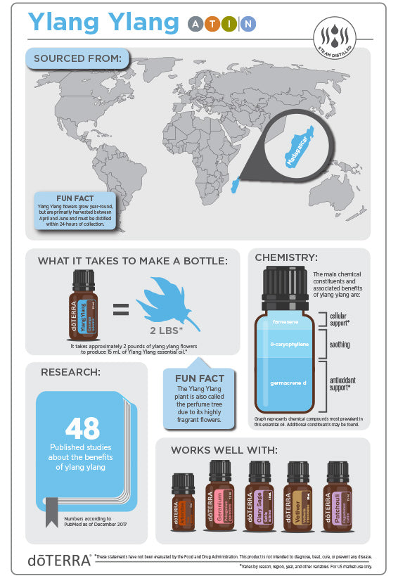 Doterra - Ylang ylang információk